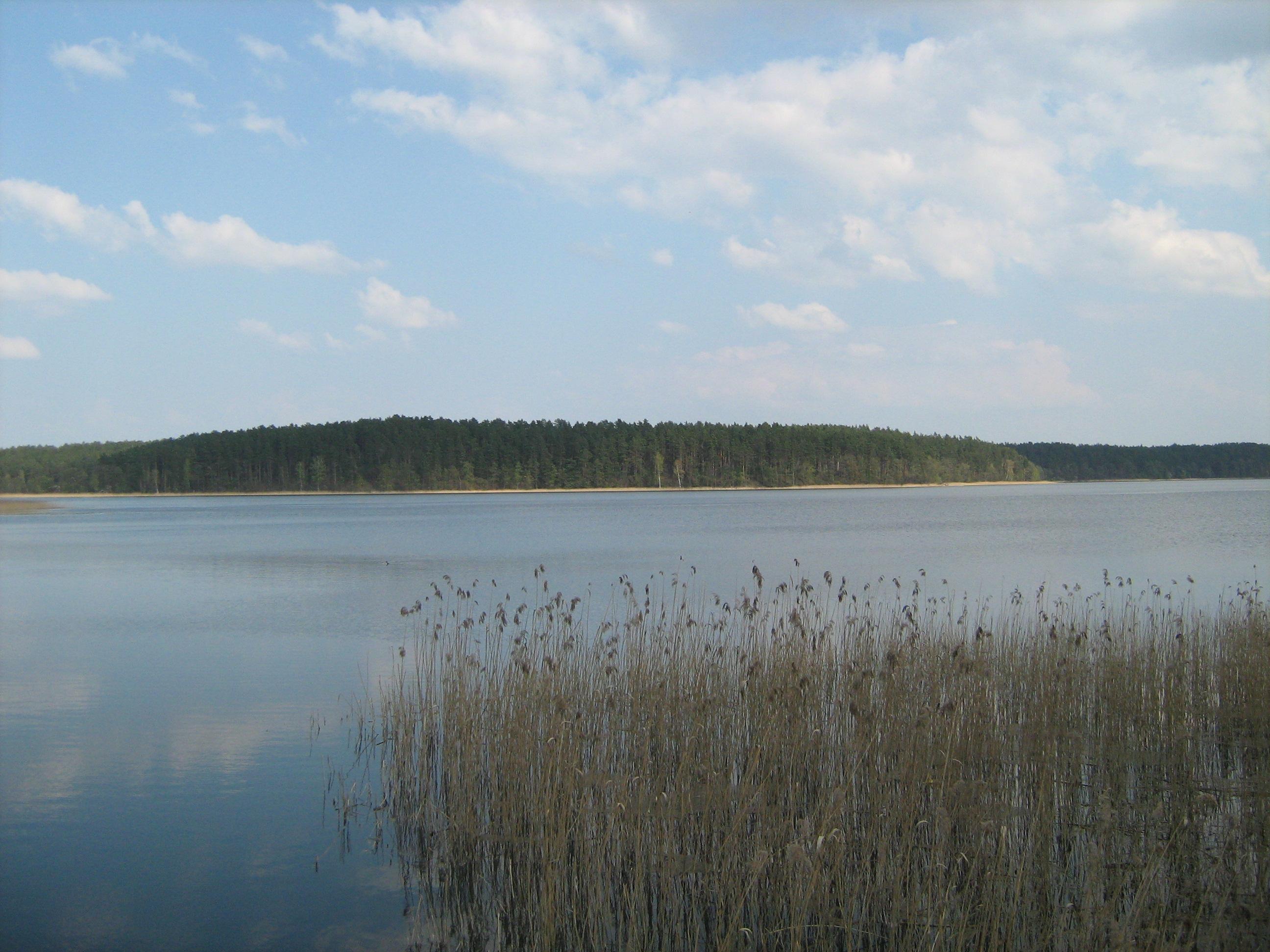 Orzysz